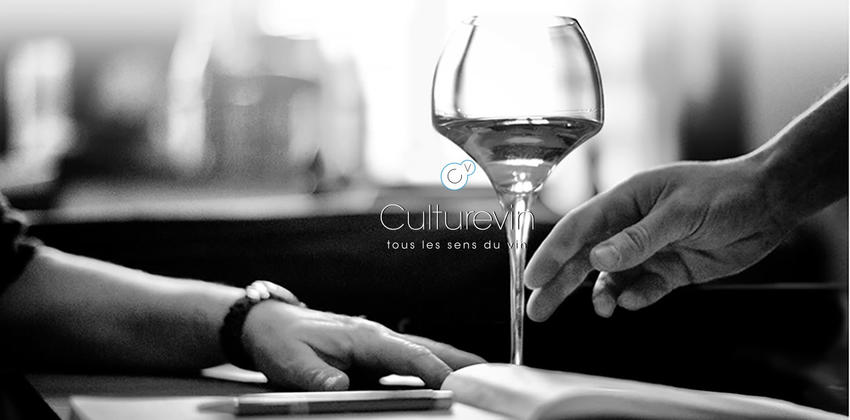 culture-vin-panorama culture-vin-panorama